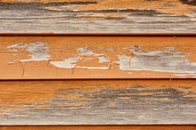 Restore the Appearance of Your Home with Woodpecker Siding Repair Service!