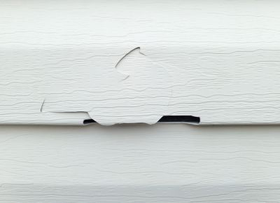 Restore Your Home's Appearance with Woodpecker Siding Repair!