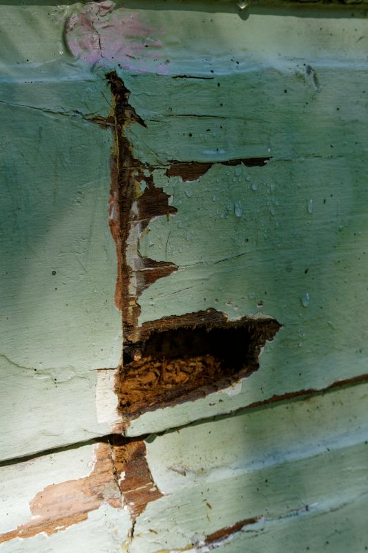 Woodpecker Siding Repair