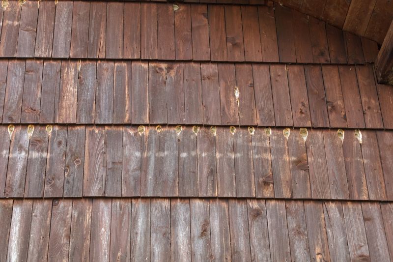 Woodpecker Siding Repair Costs — Cost of Woodpecker Siding Repair