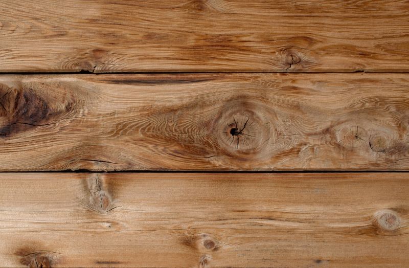 Woodpecker Siding Repair